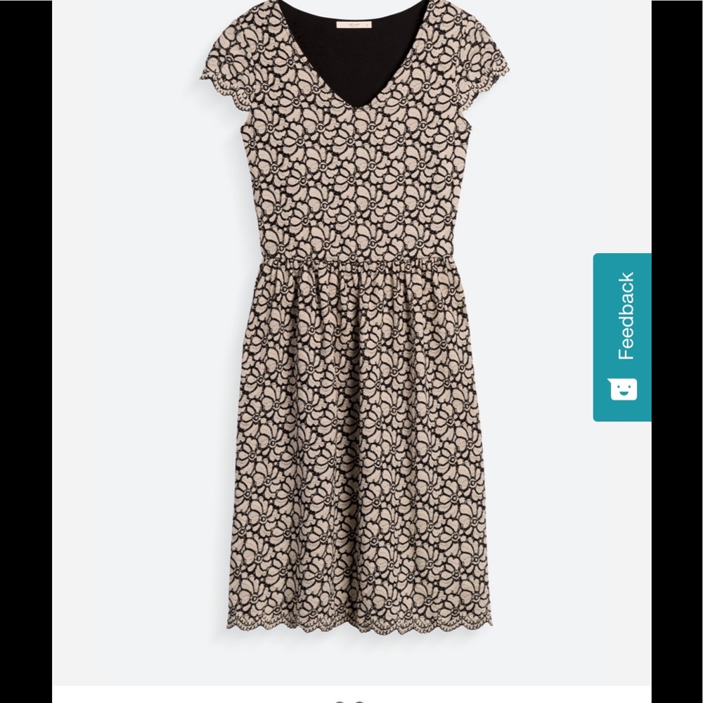 Le Lis Audrey Knit Lace Dress Size XS from Stitch Fix never worn